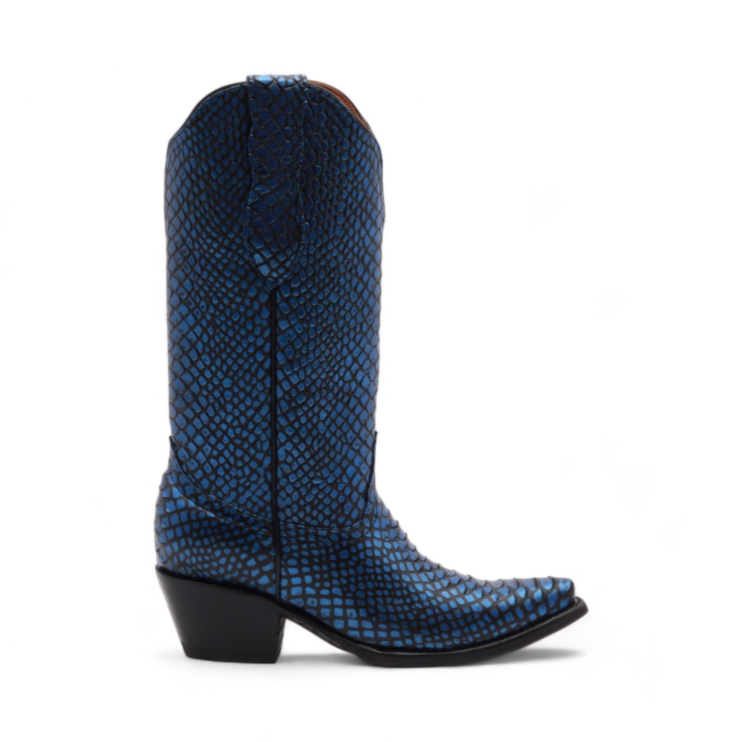 Kesha Women's Blue Snake Print Leather Boots