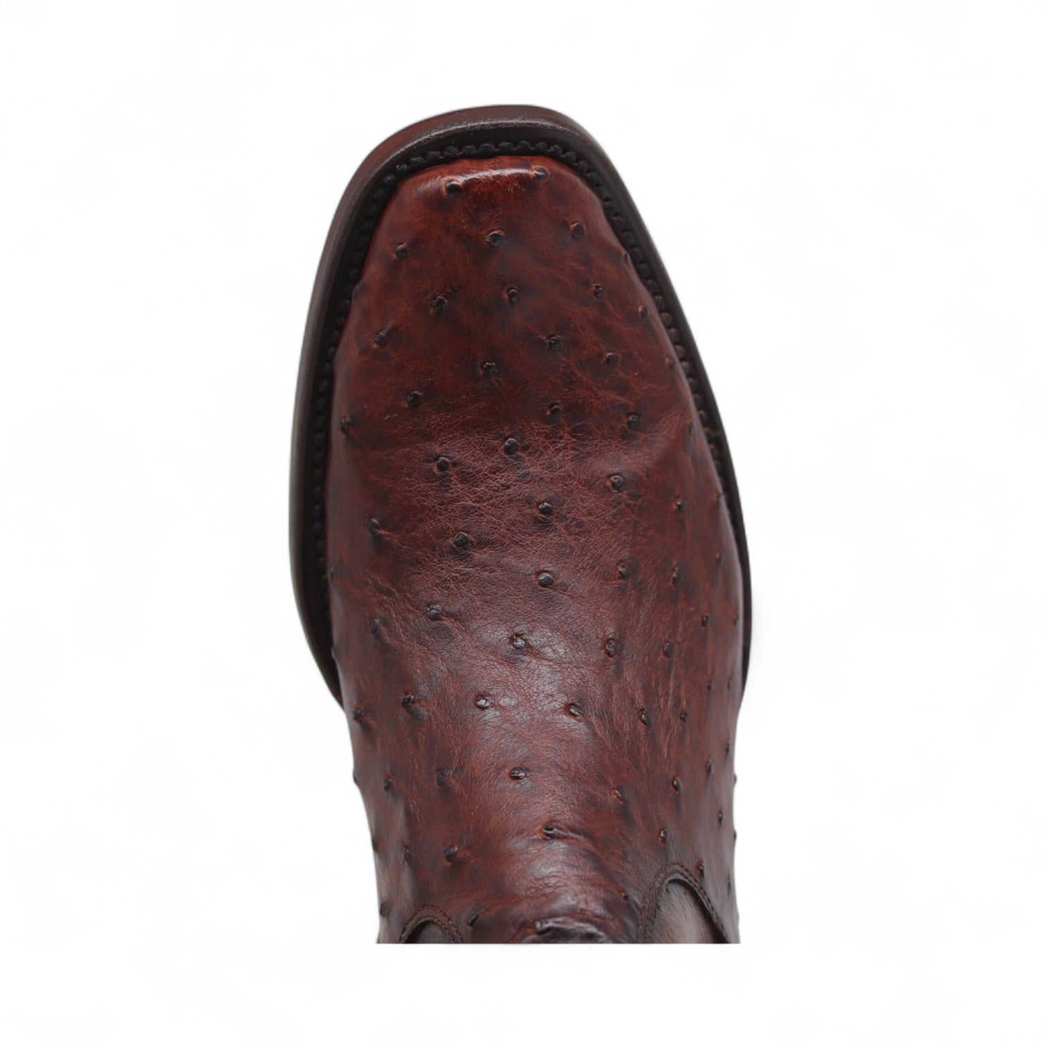 Collin Men's Brown Ostrich Exotic Leather Boots