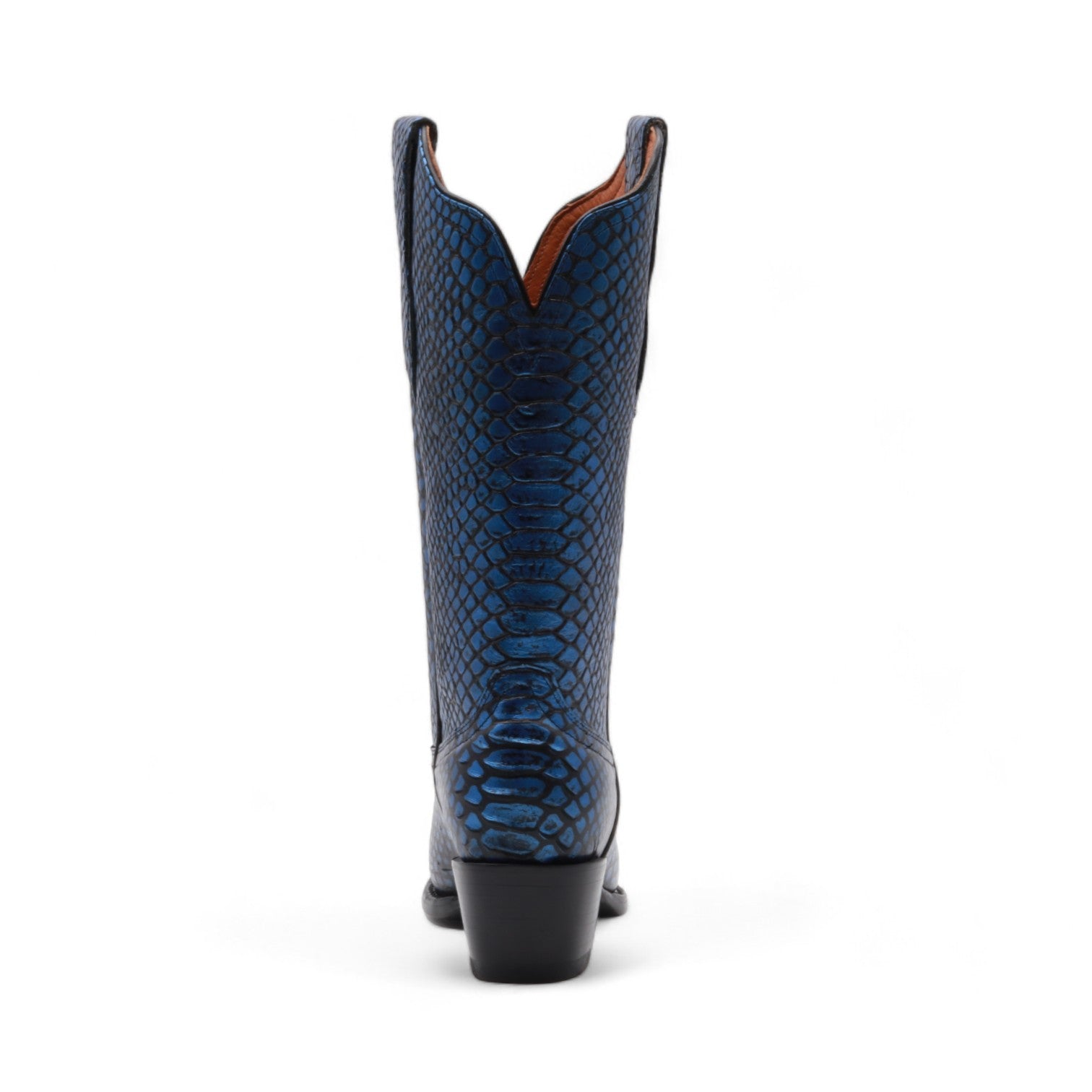 Kesha Women's Blue Snake Print Leather Boots